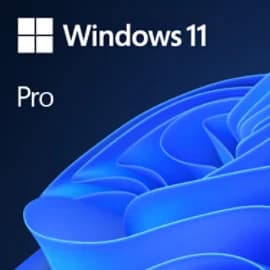 Microsoft Windows 11 Pro License (1 PC, 1 Year)